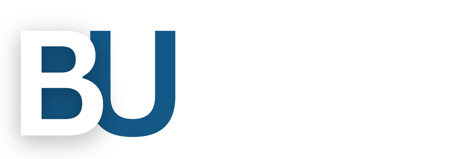 Bizz uniserve